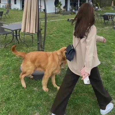 兄弟同体